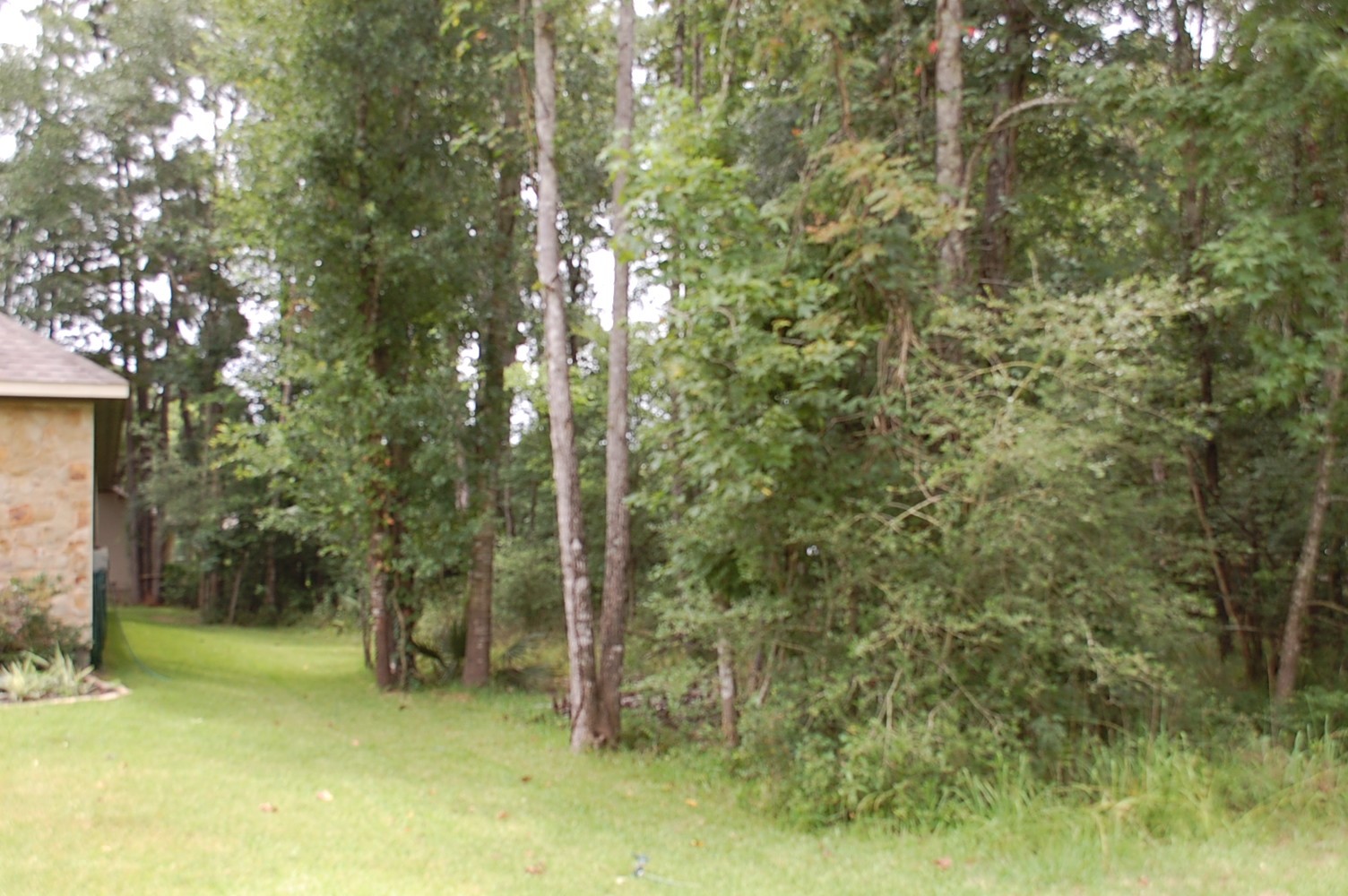 25 Firewood Road Property Photo 5