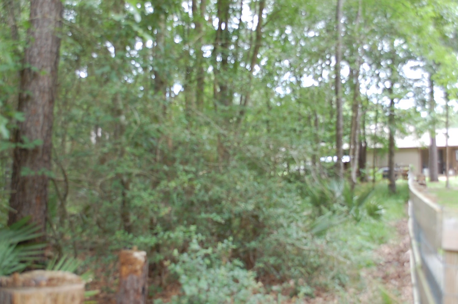 25 Firewood Road Property Photo 6