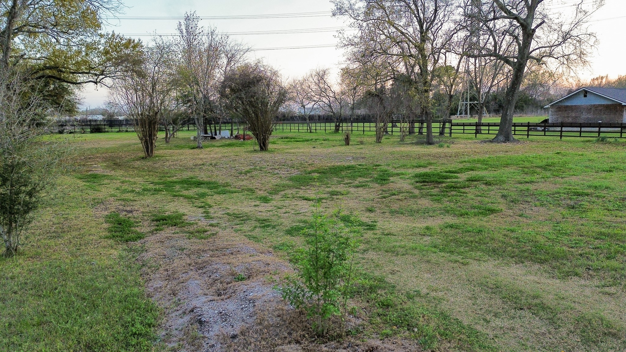 1003 Bowie Street Property Photo 4