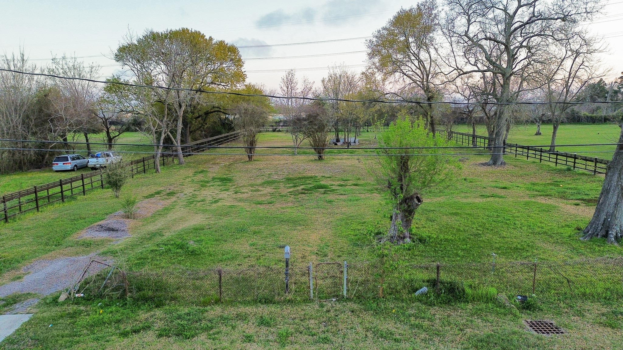 1003 Bowie Street Property Photo 5