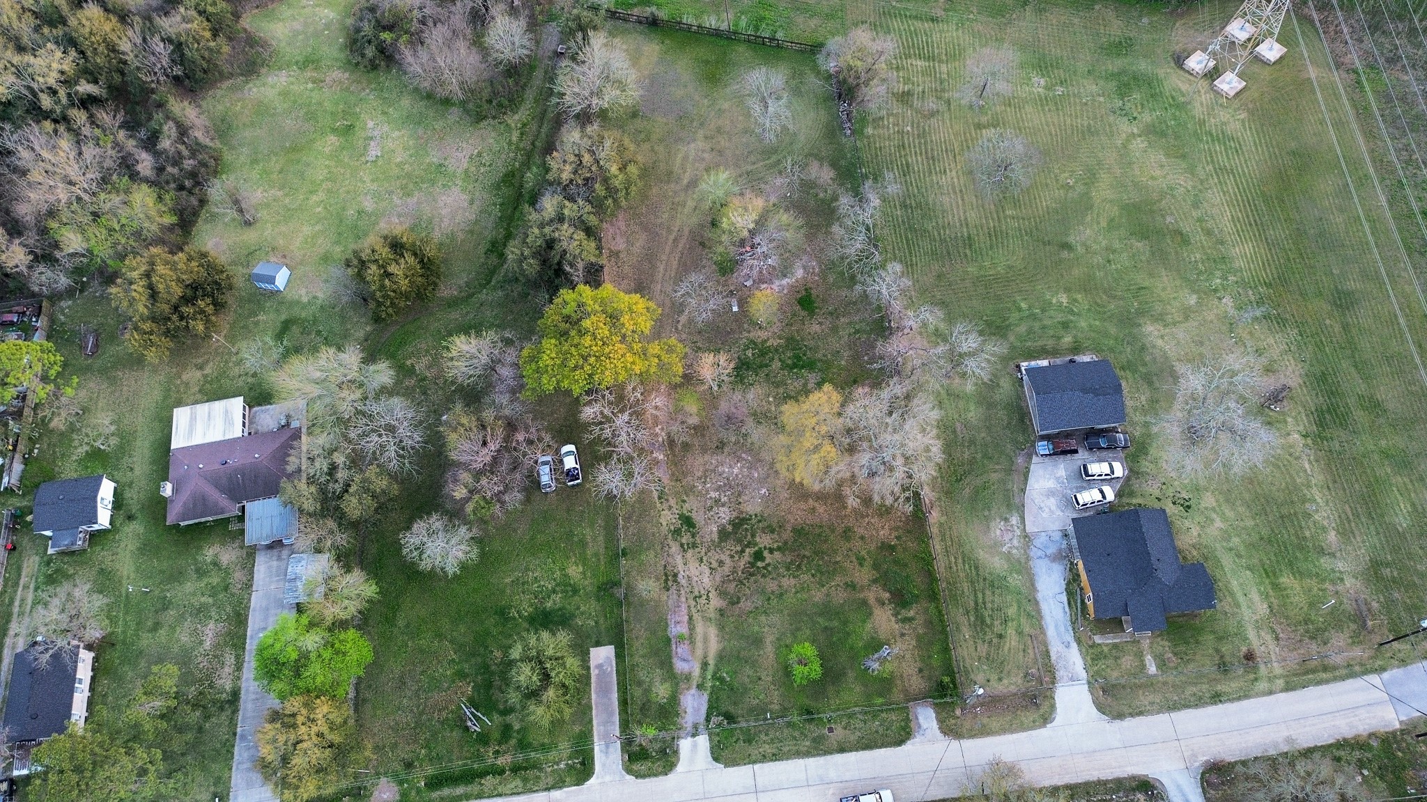 1003 Bowie Street Property Photo 6