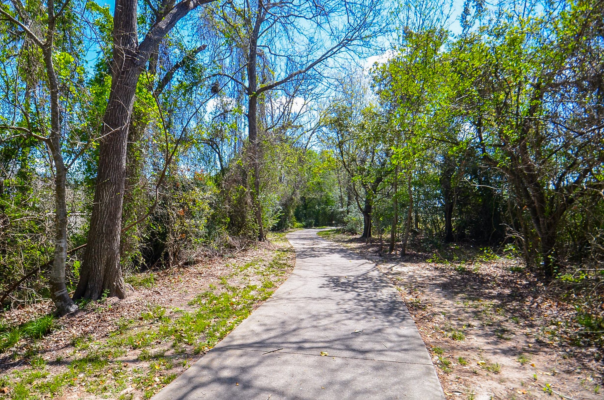 23615 Banning Point Court Property Photo 49