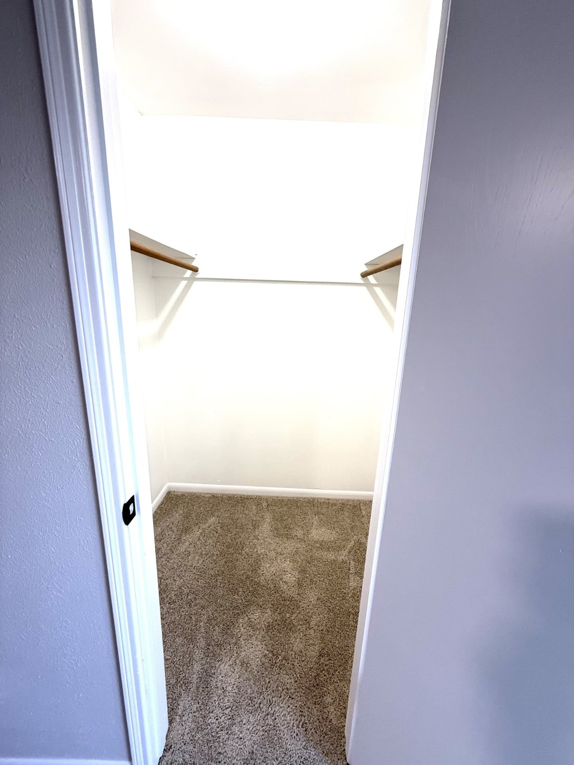 167 White Cedar Street Property Photo 20