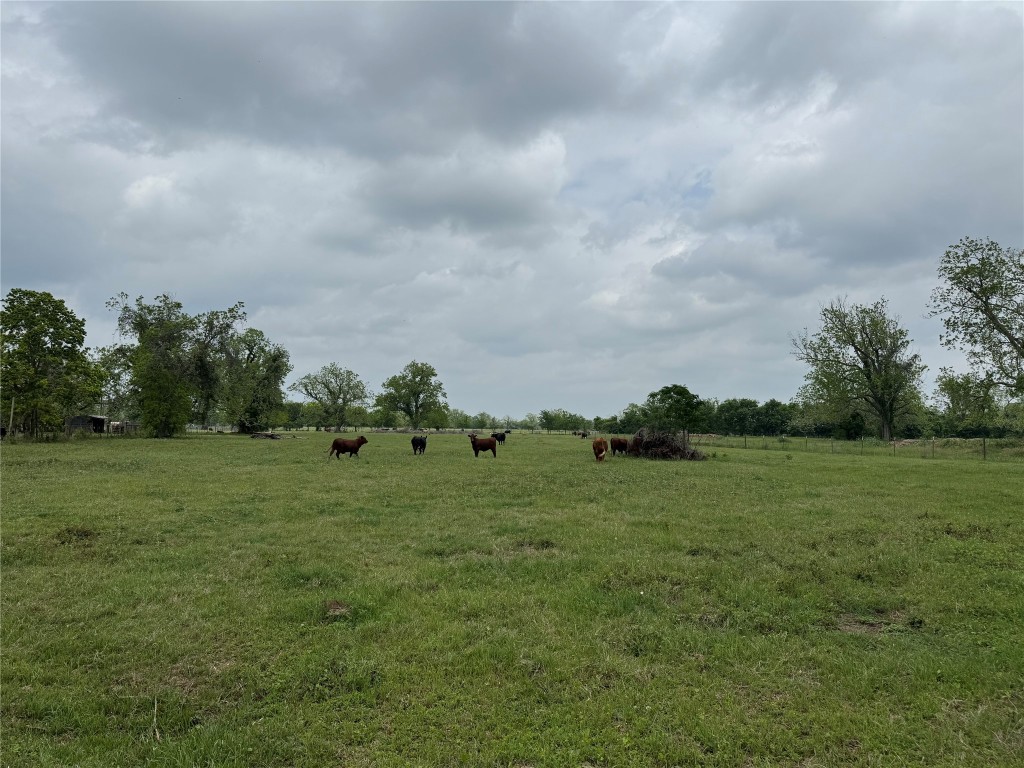0 E Alabama Street Property Photo 1