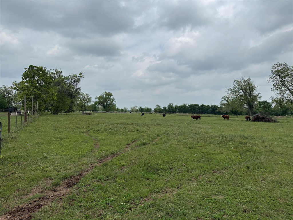 0 E Alabama Street Property Photo 3