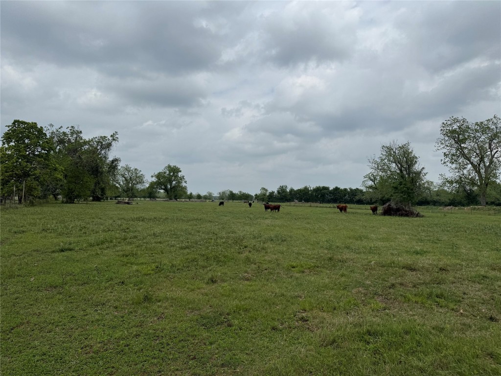 0 E Alabama Street Property Photo 4
