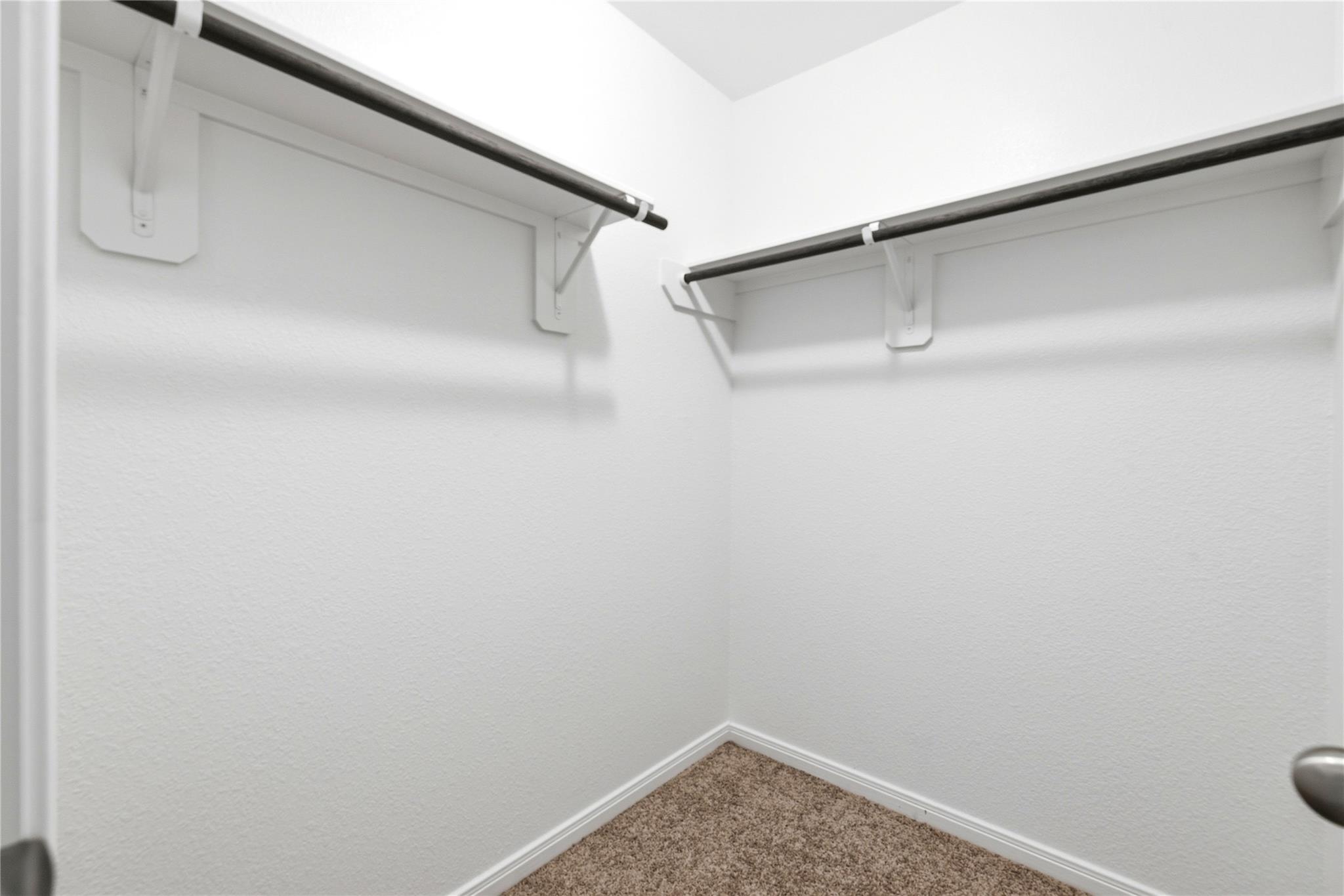 24703 Signorelli Way Property Photo 27