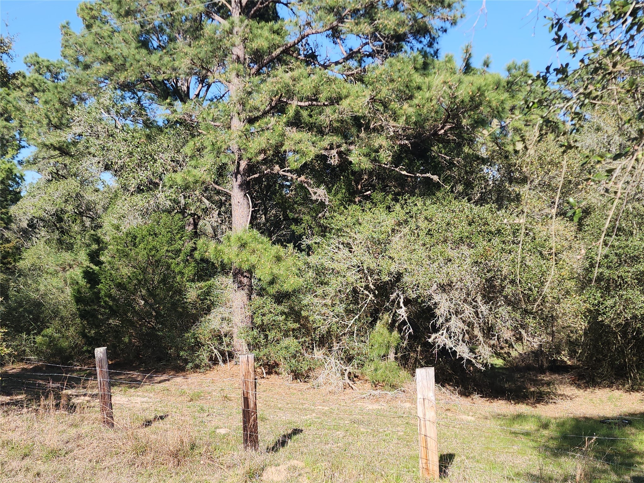 Tbd Fm-3283 Property Photo 3