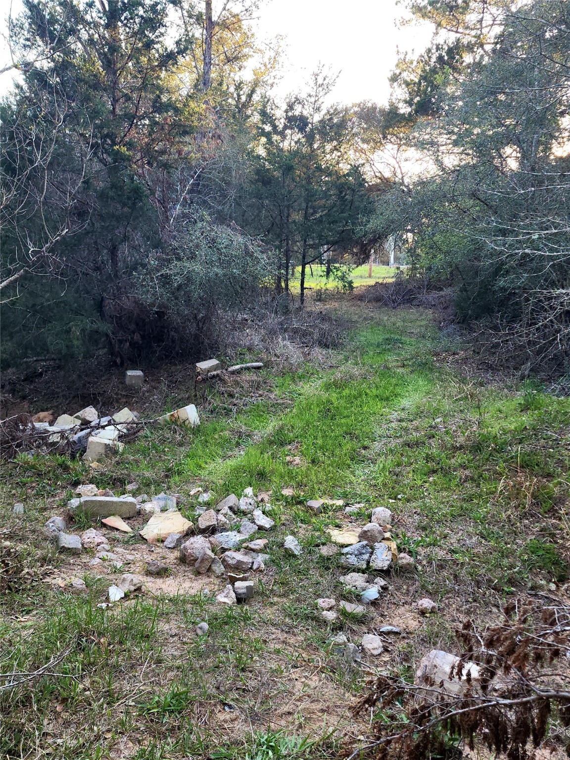 Tbd Fm-3283 Property Photo 4
