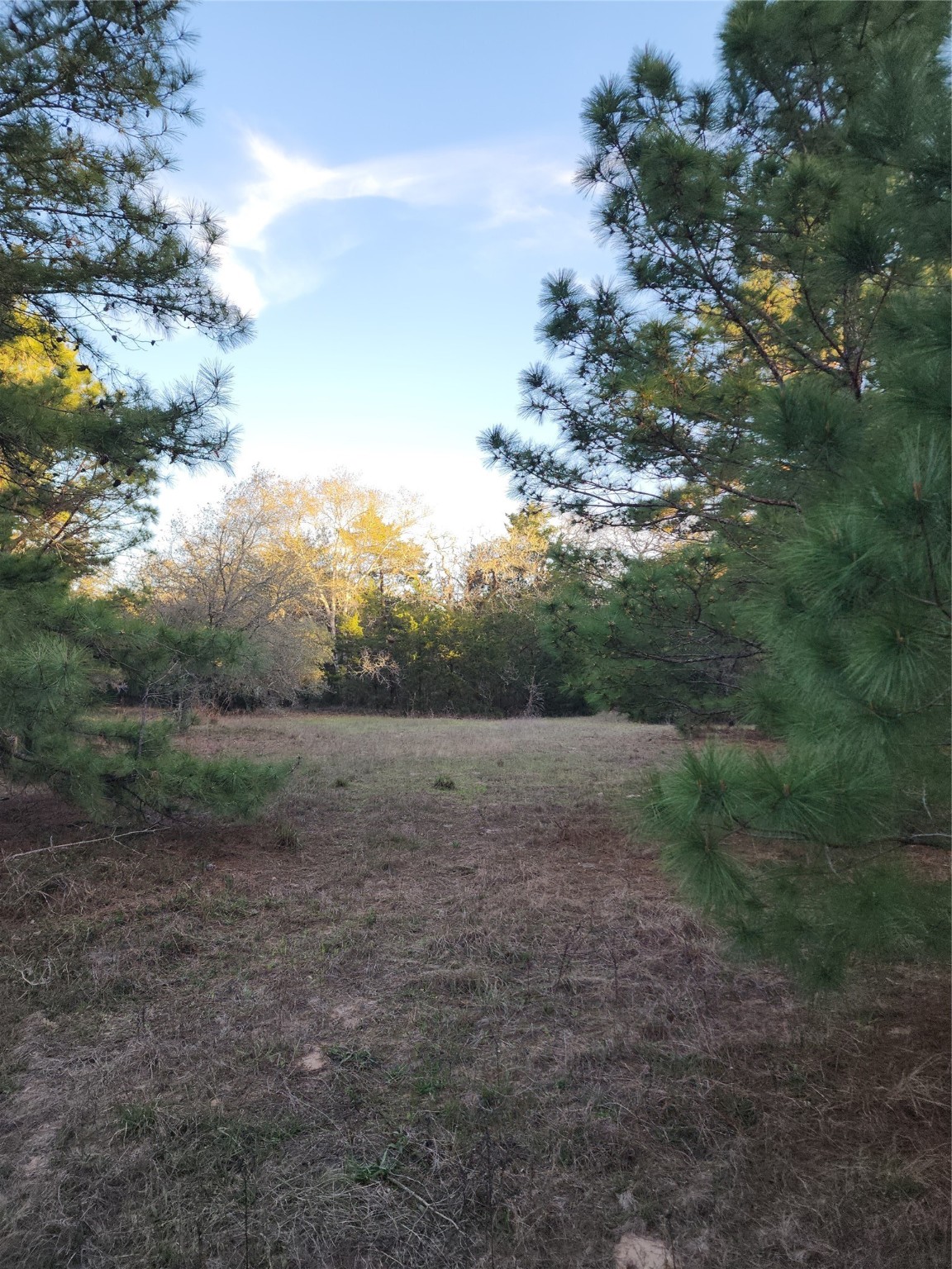 Tbd Fm-3283 Property Photo 5