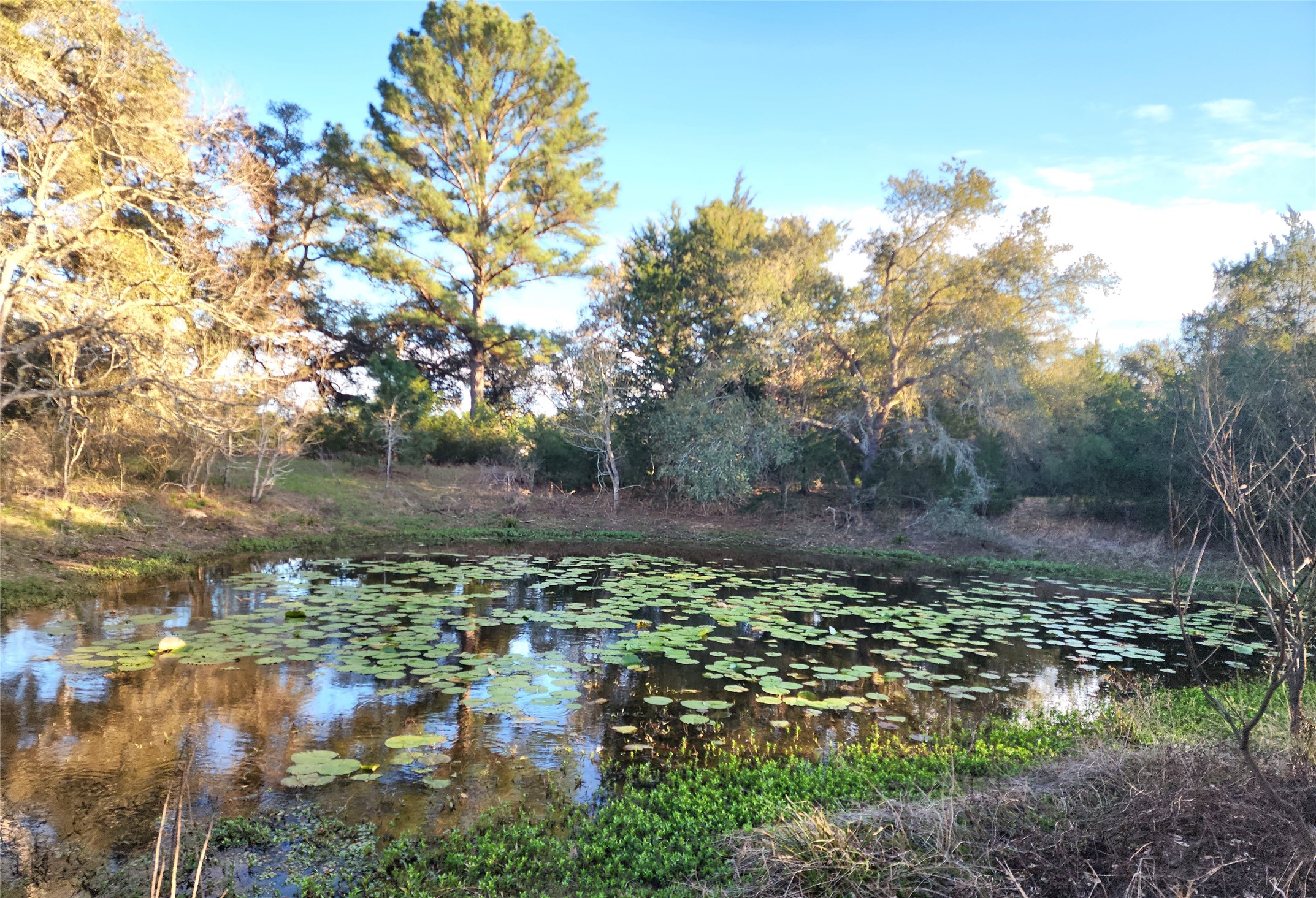 Tbd Fm-3283 Property Photo 6