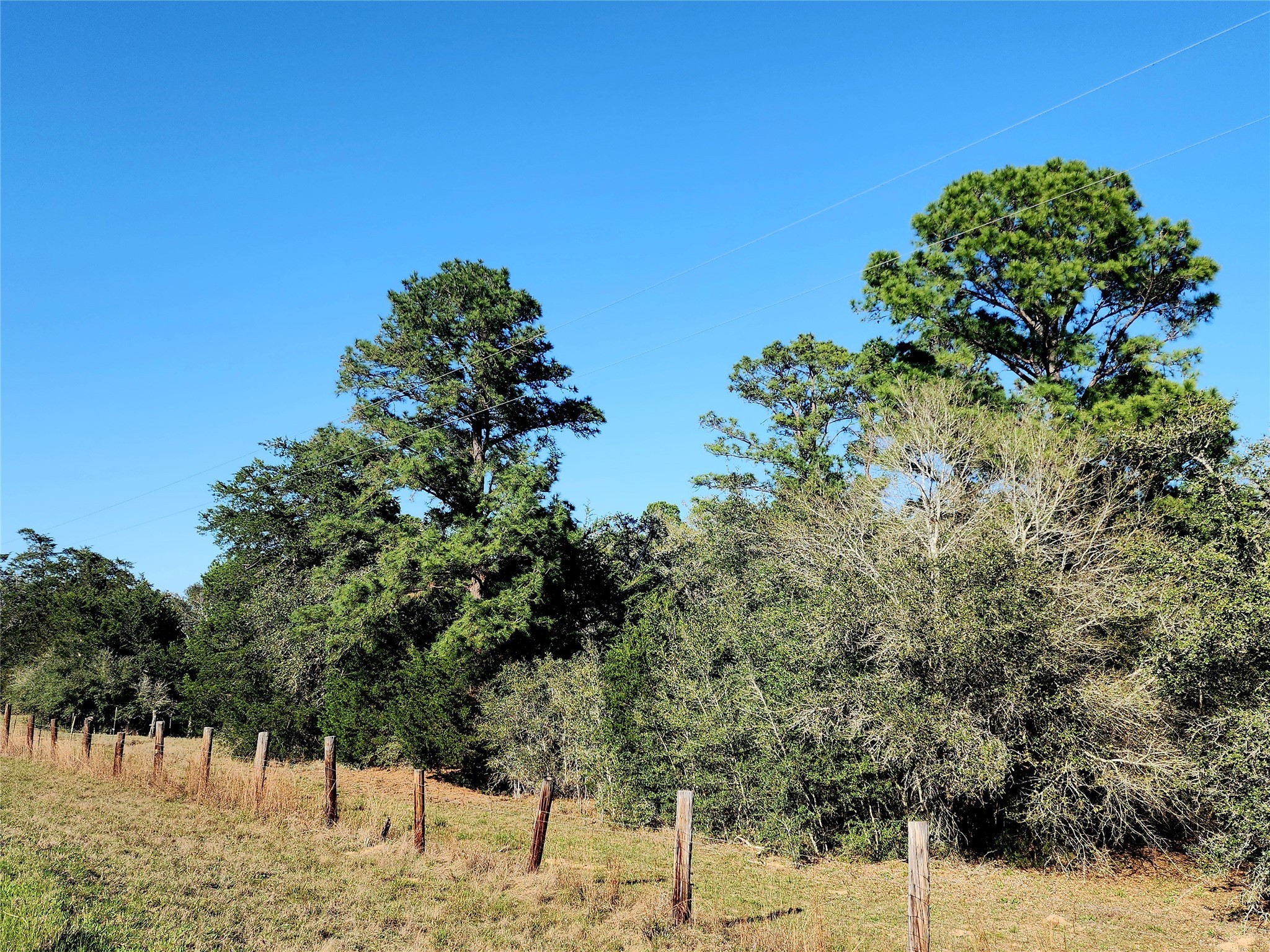 Tbd Fm-3283 Property Photo 7