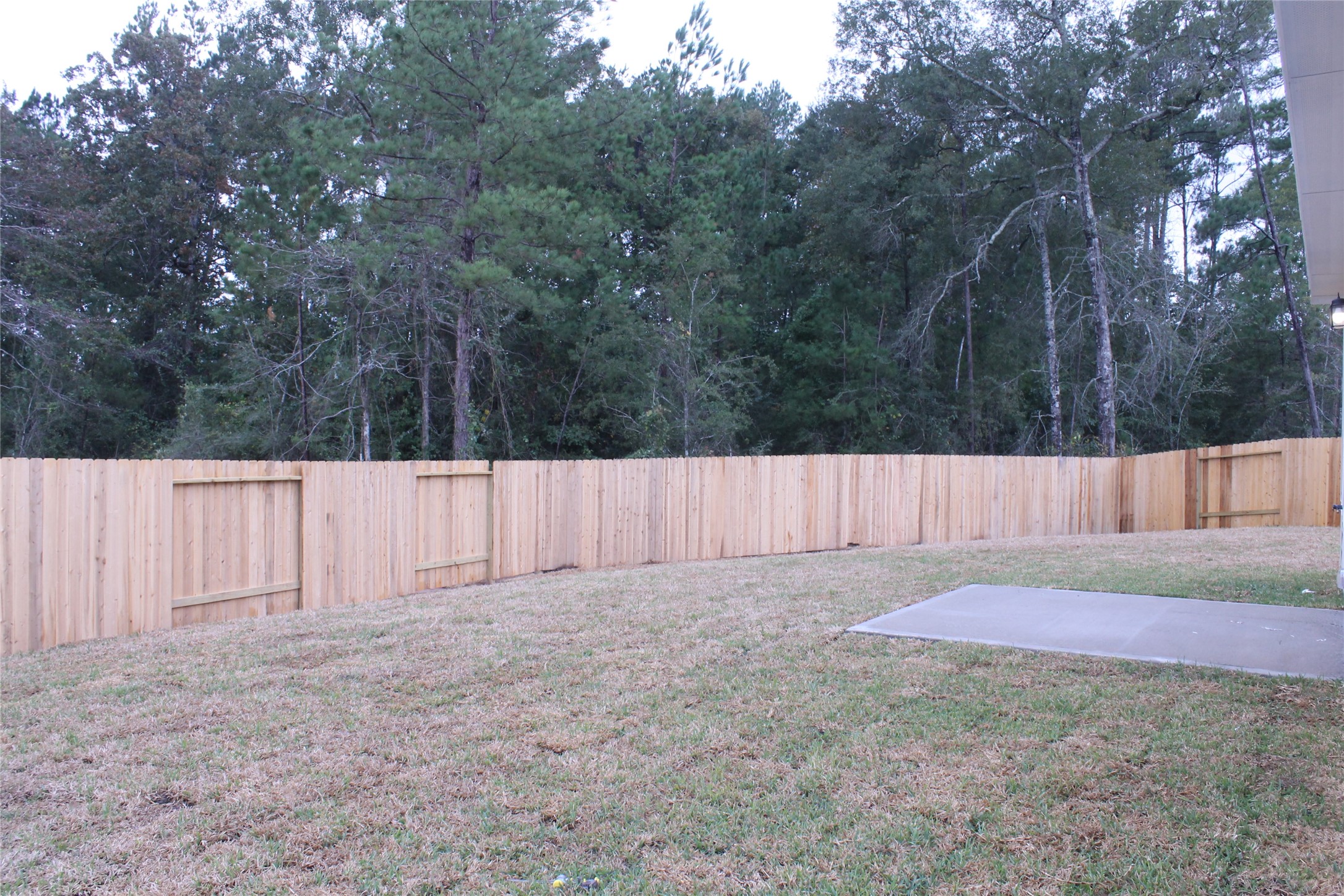 9699 Caney Trails Road Property Photo 16