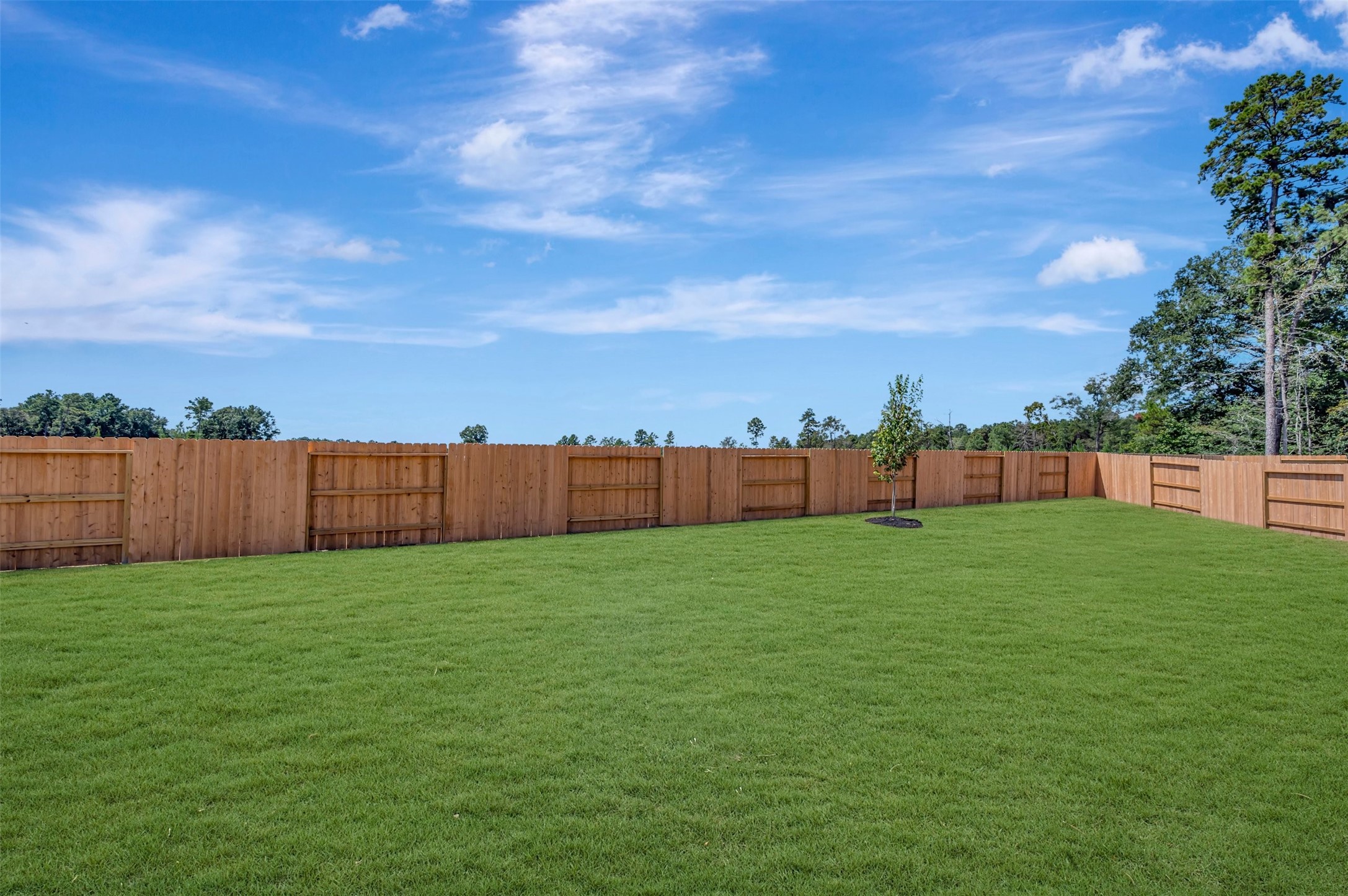 15231 Osie Limestone Lane Property Photo 10