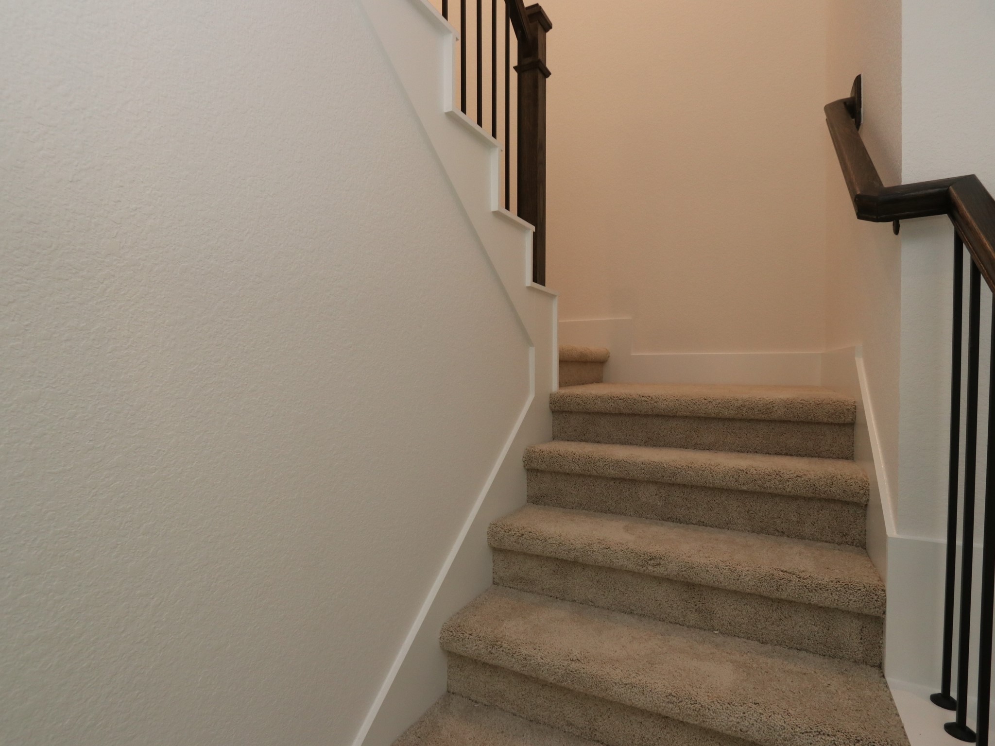 1803 Live Springs Way Property Photo 22
