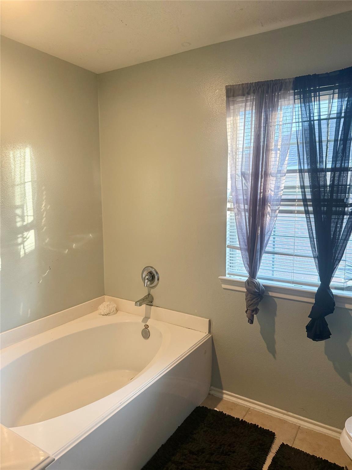 14413 Brenner Ridge Lane, Houston Tx 77047 Property Photo 8