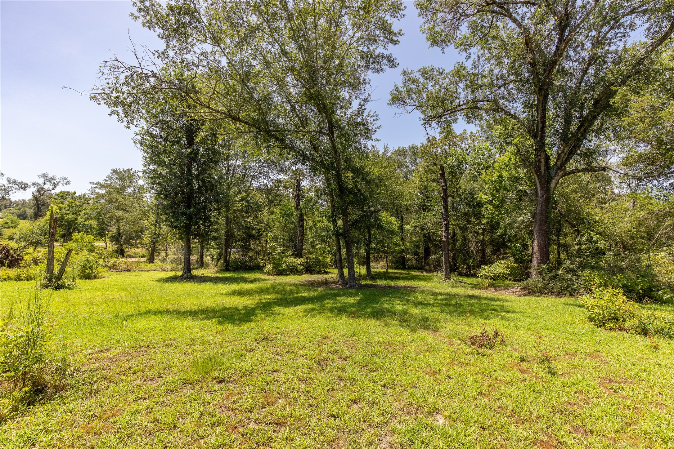 685 Piney Creek Road Property Photo 24