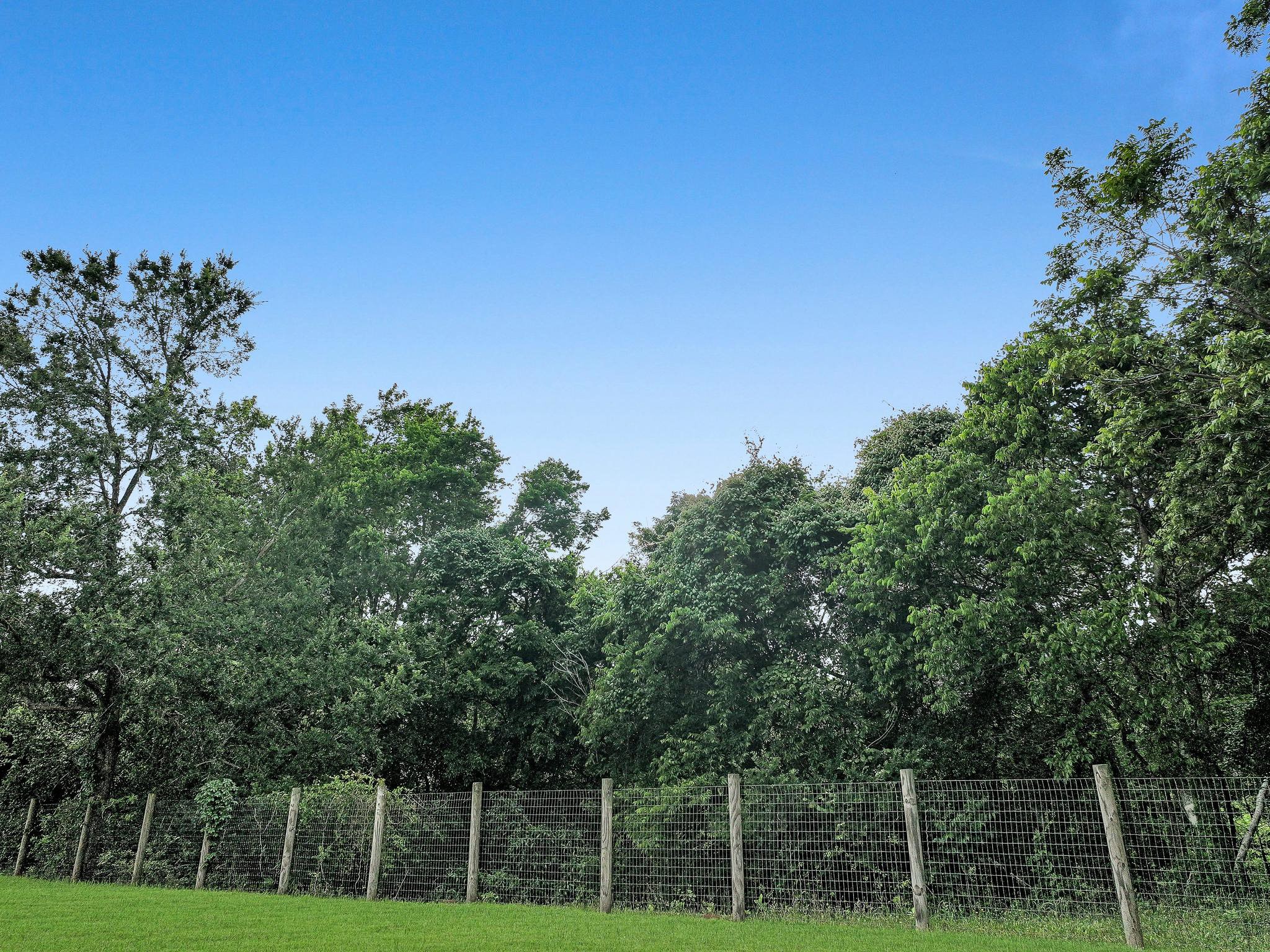 1771 Wilpitz Road Property Photo 48