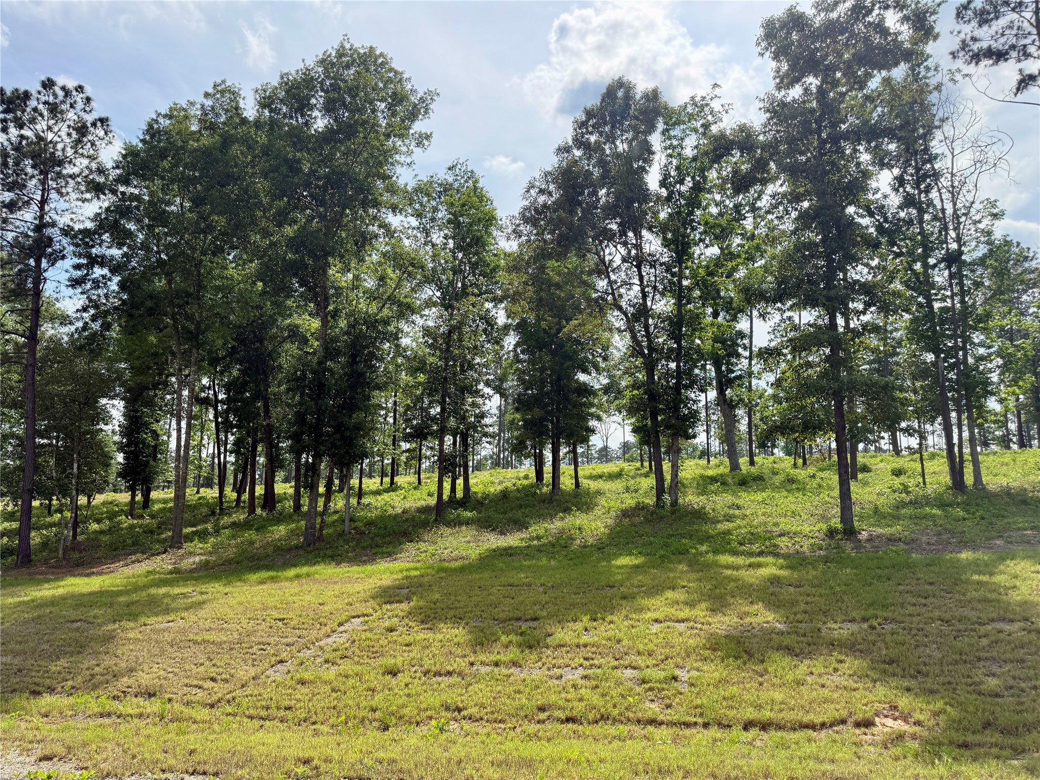 Lot 72 Western Road Property Photo 1