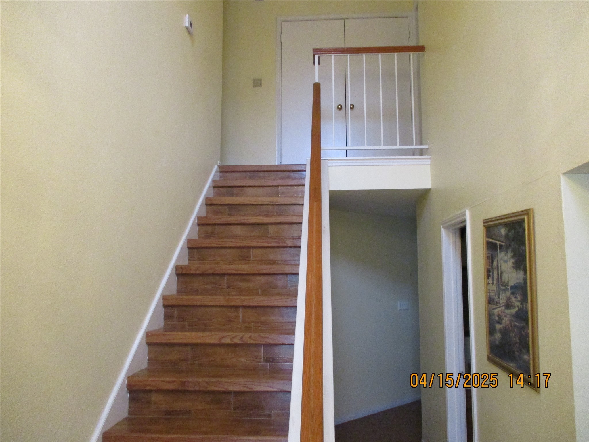 9427 Walnut Glen Drive Property Photo 17