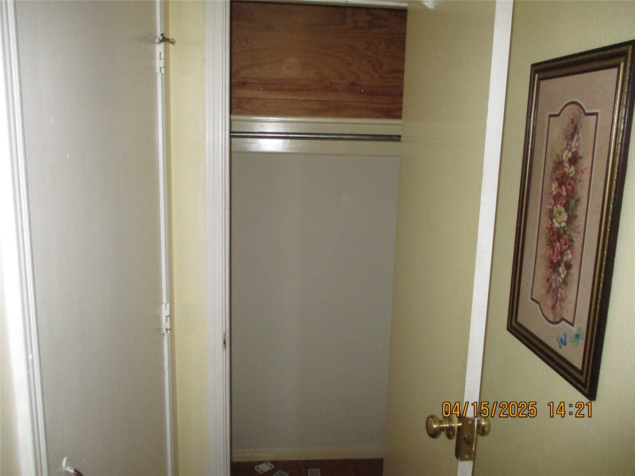 9427 Walnut Glen Drive Property Photo 37