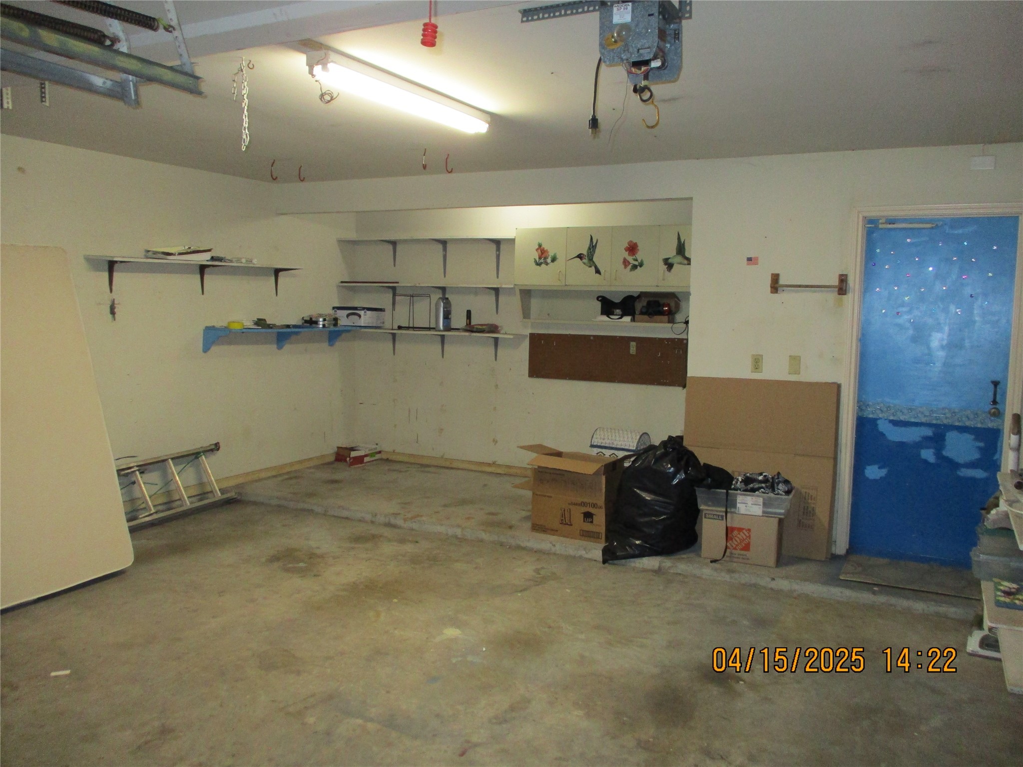 9427 Walnut Glen Drive Property Photo 46