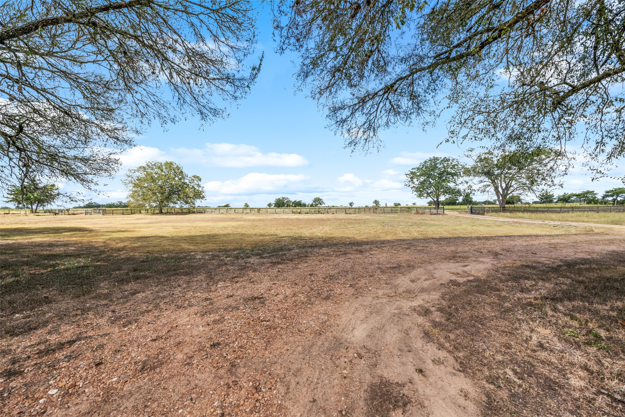 2373 County Road 248 Property Photo 3