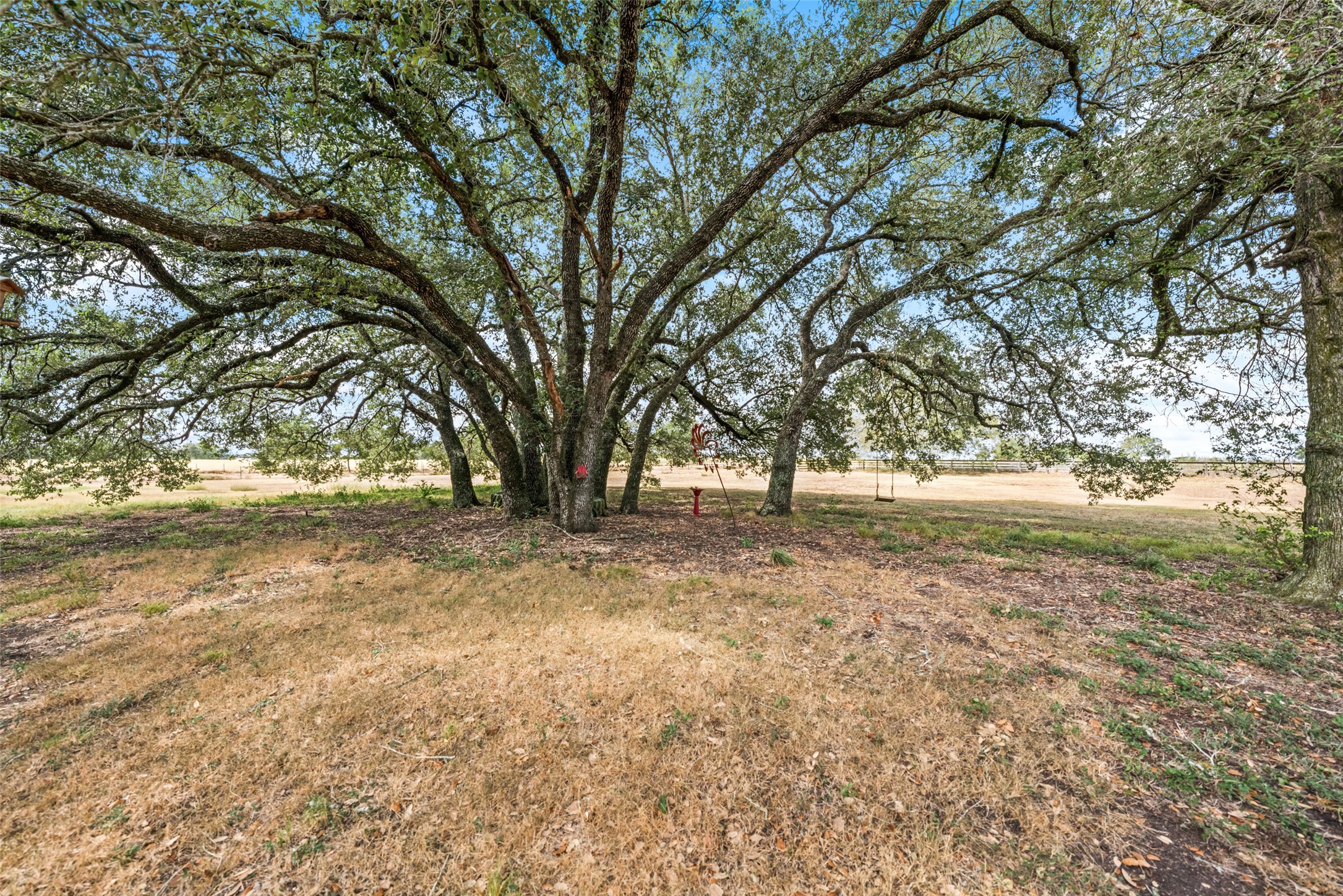 2373 County Road 248 Property Photo 36