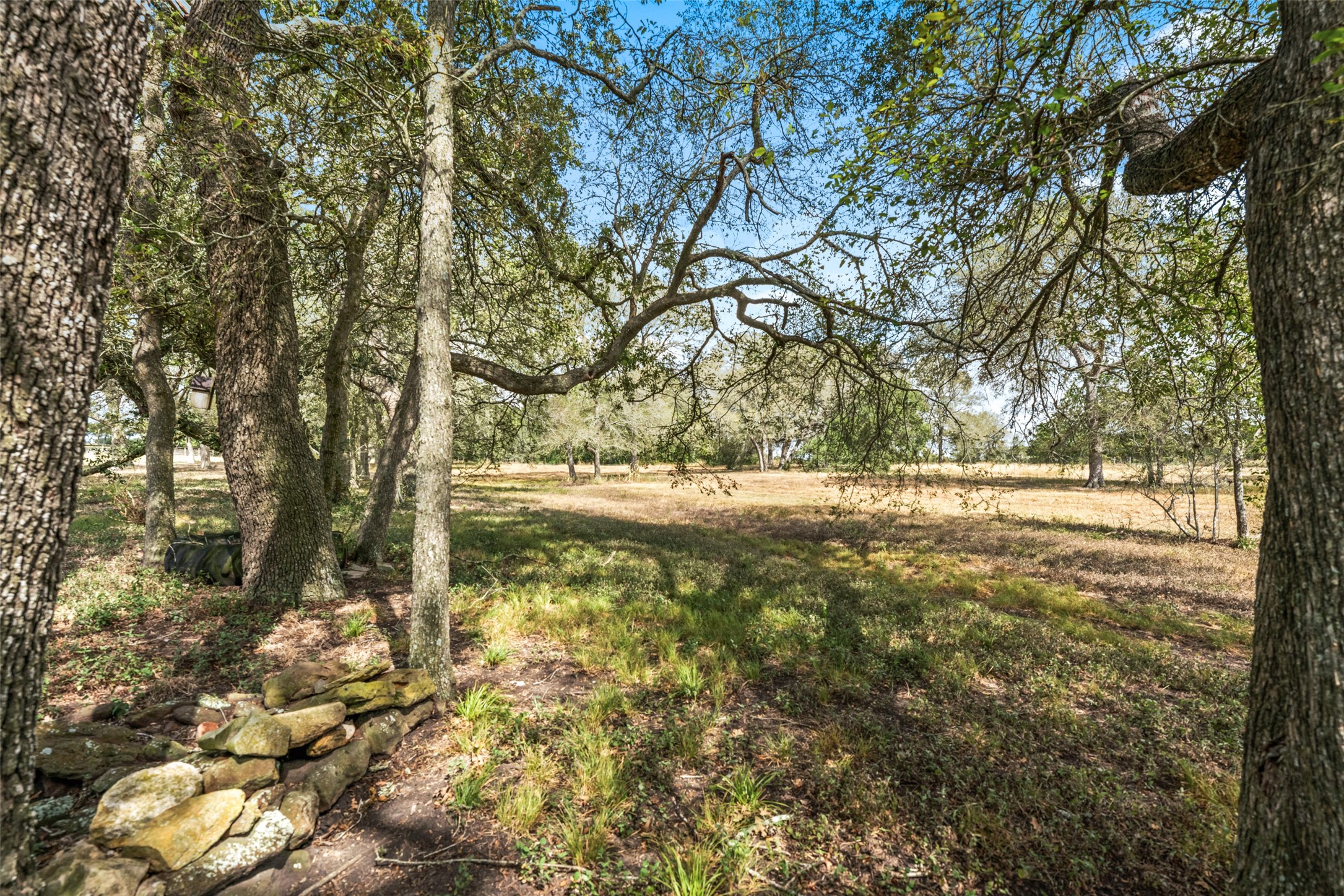 2373 County Road 248 Property Photo 40