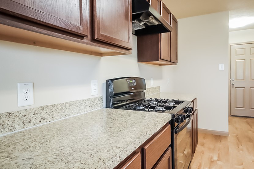 19002 Volga River Drive Property Photo 5