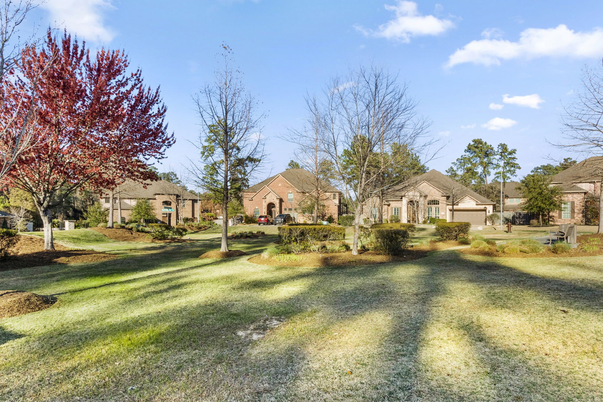 23211 Belted Kingfisher Trail Property Photo 3