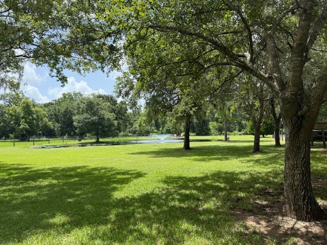 5475 County Road 348 Property Photo 34