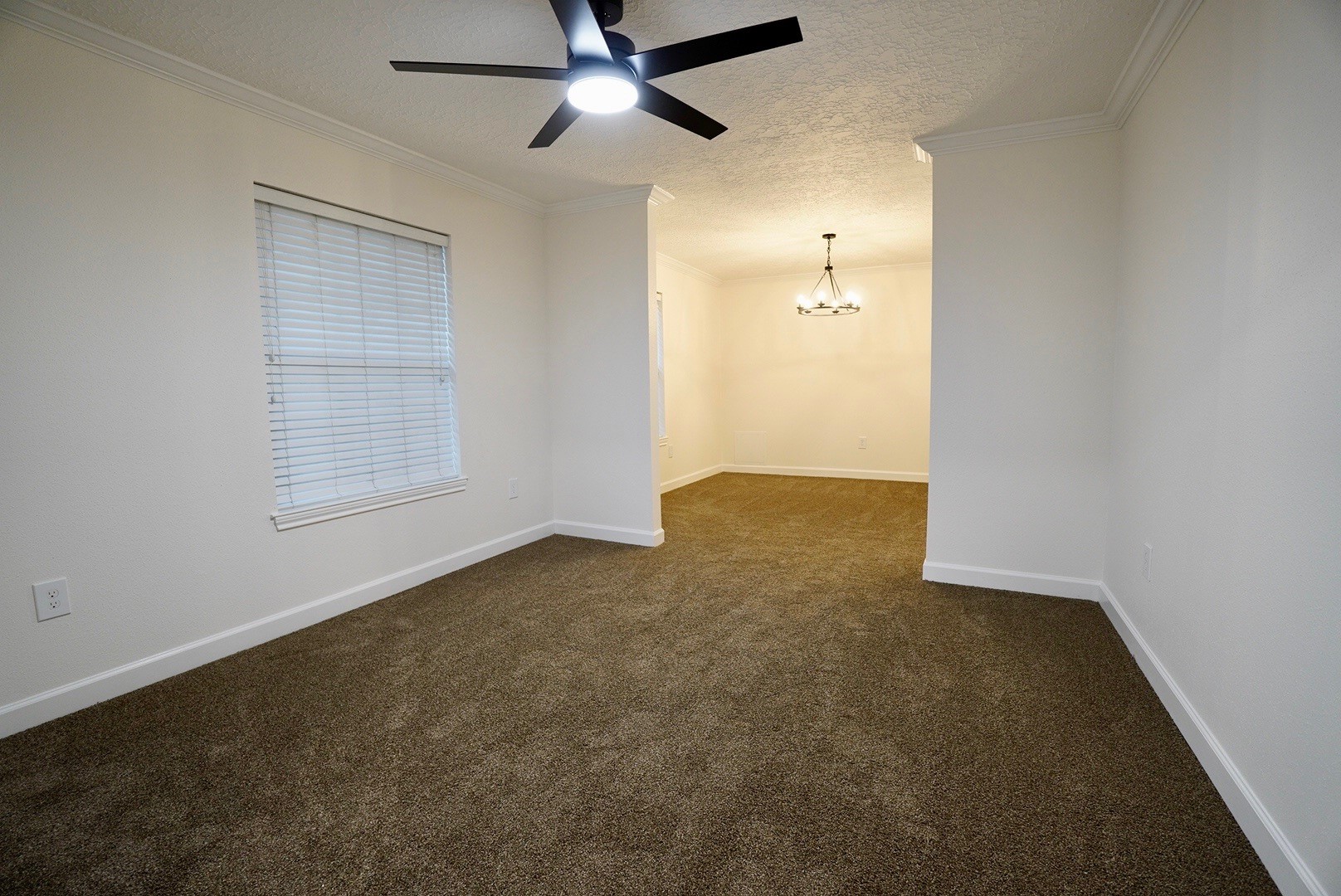 3403 Honey Creek Drive Property Photo 3