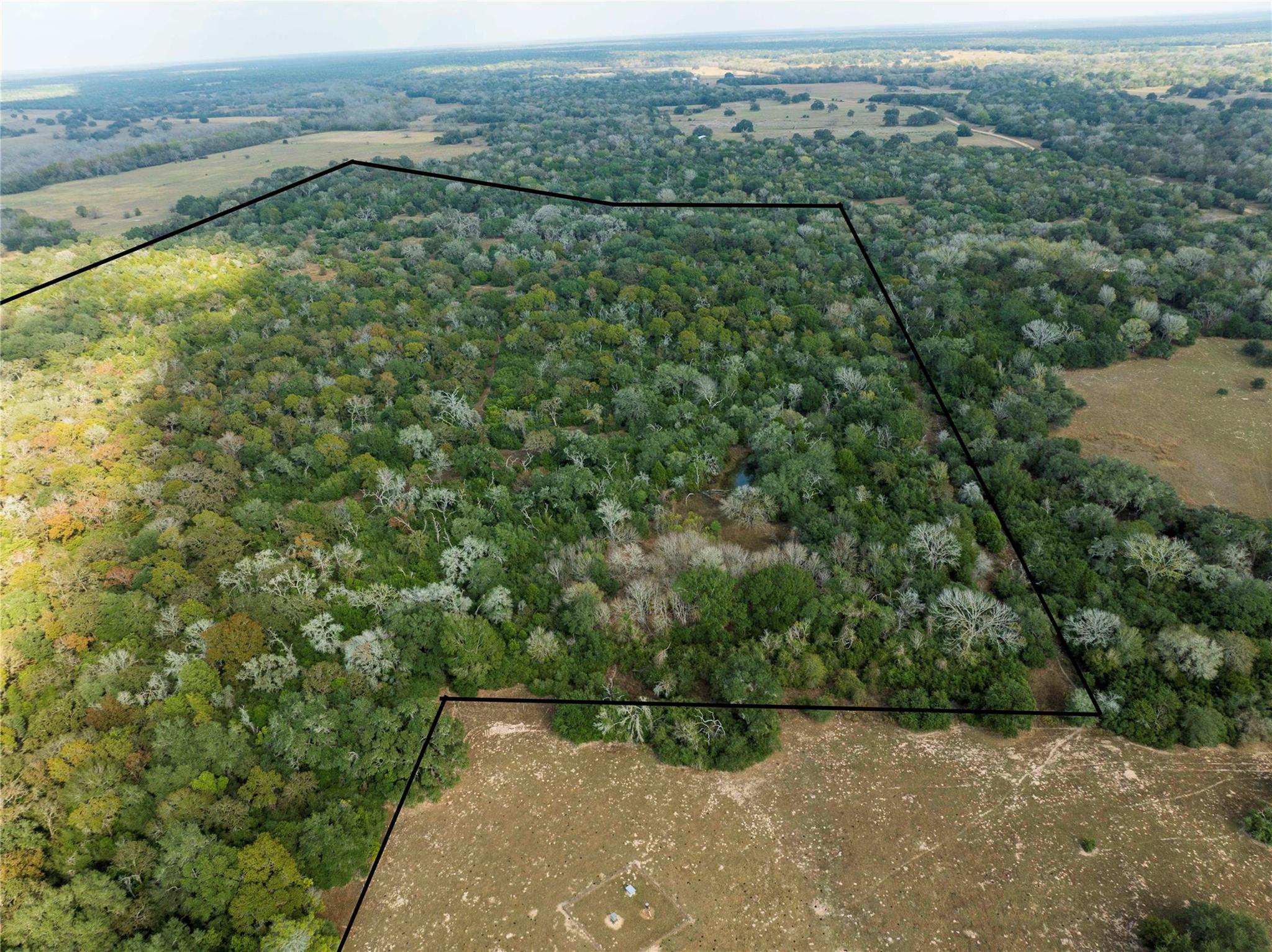 Tbd County Road 12, Hallettsville Tx 77964 Property Photo 1
