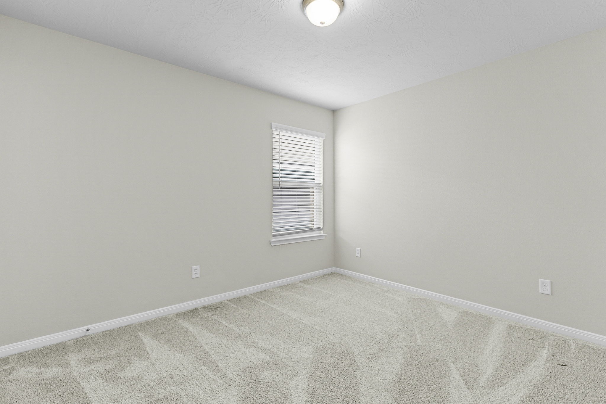 121 New Dawn Trail Property Photo 22