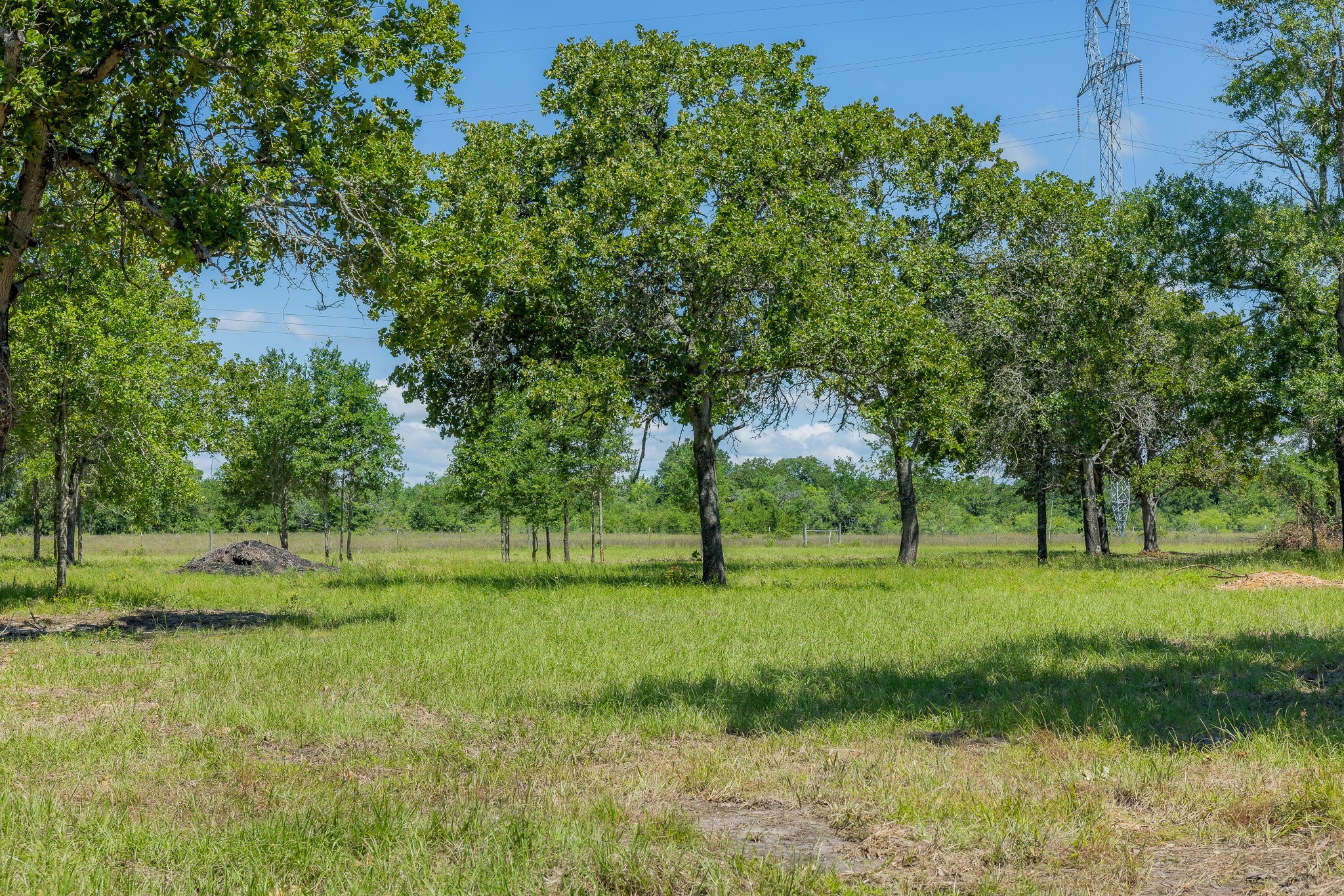6593 Atakapan Trail Property Photo 1