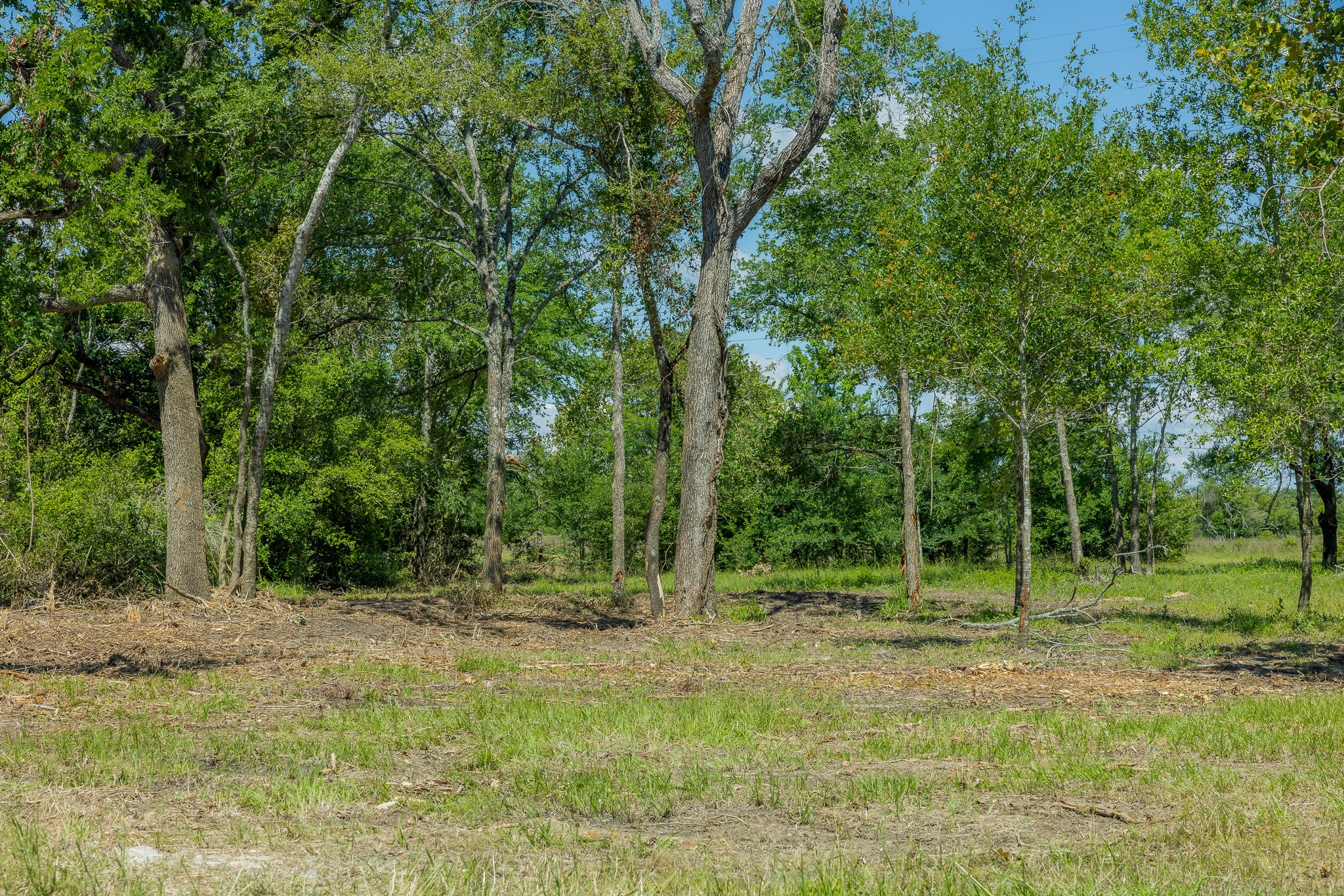6593 Atakapan Trail Property Photo 3