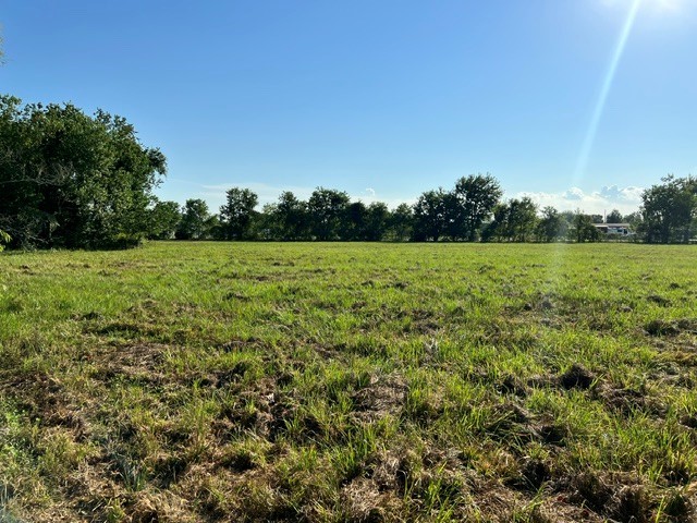 9919 Hadden Road Property Photo 2