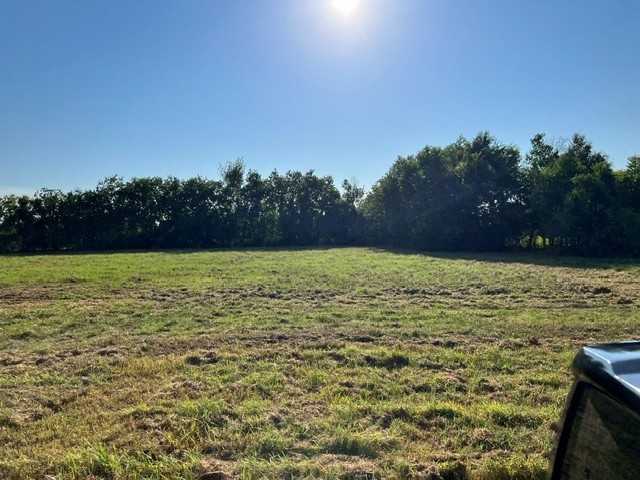 9919 Hadden Road Property Photo 3