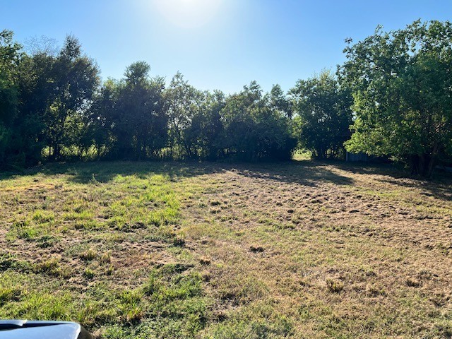 9919 Hadden Road Property Photo 6