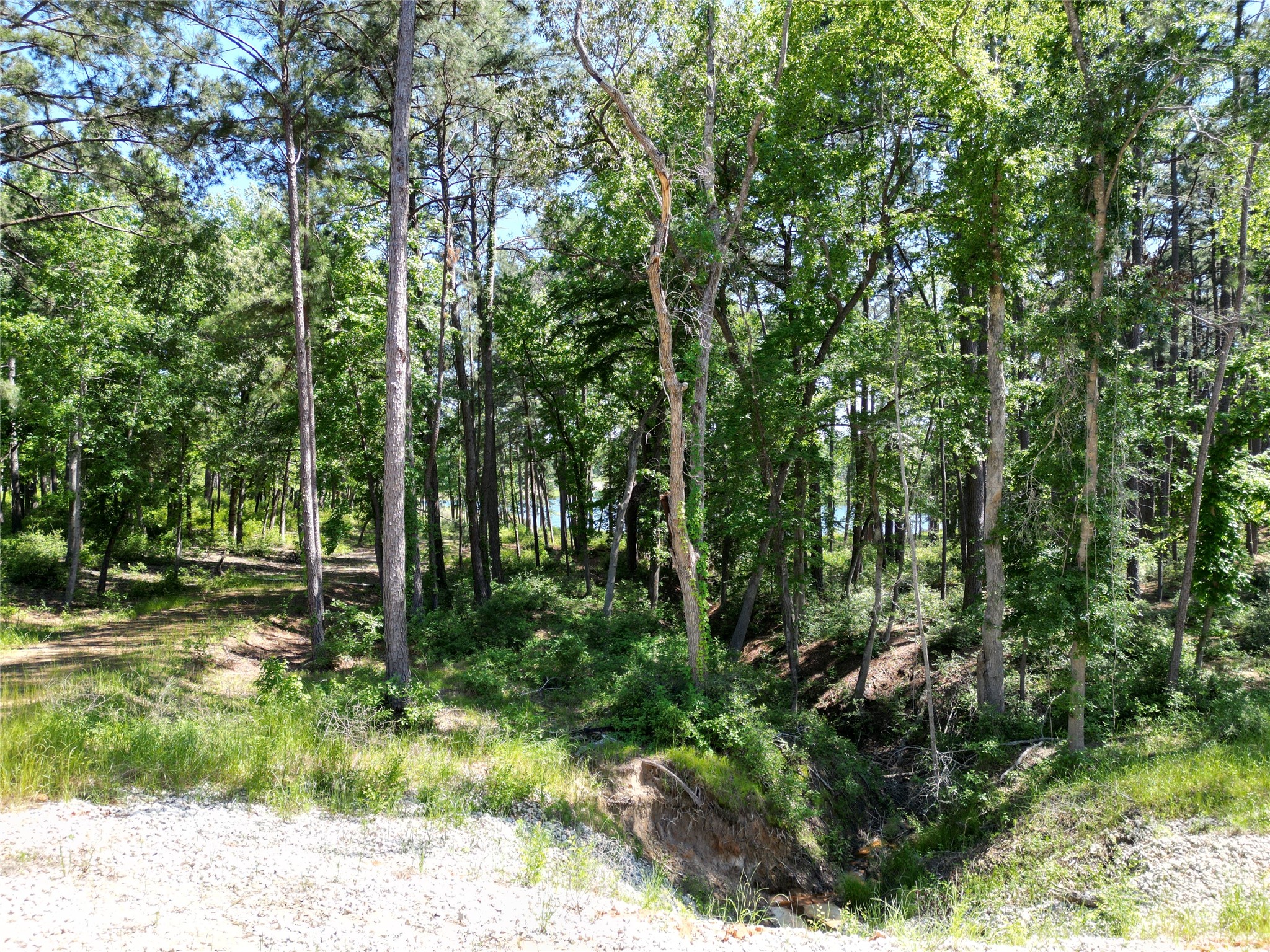 Lot 22 Pr 1313 Property Photo 14