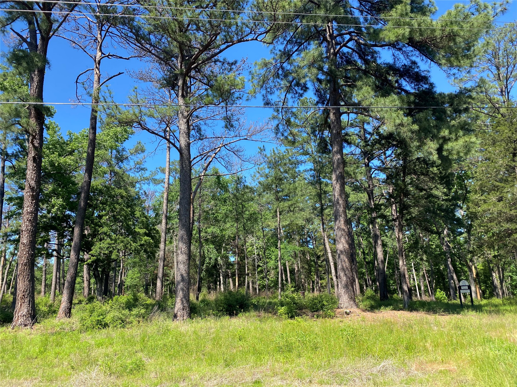 Lot 22 Pr 1313 Property Photo 20