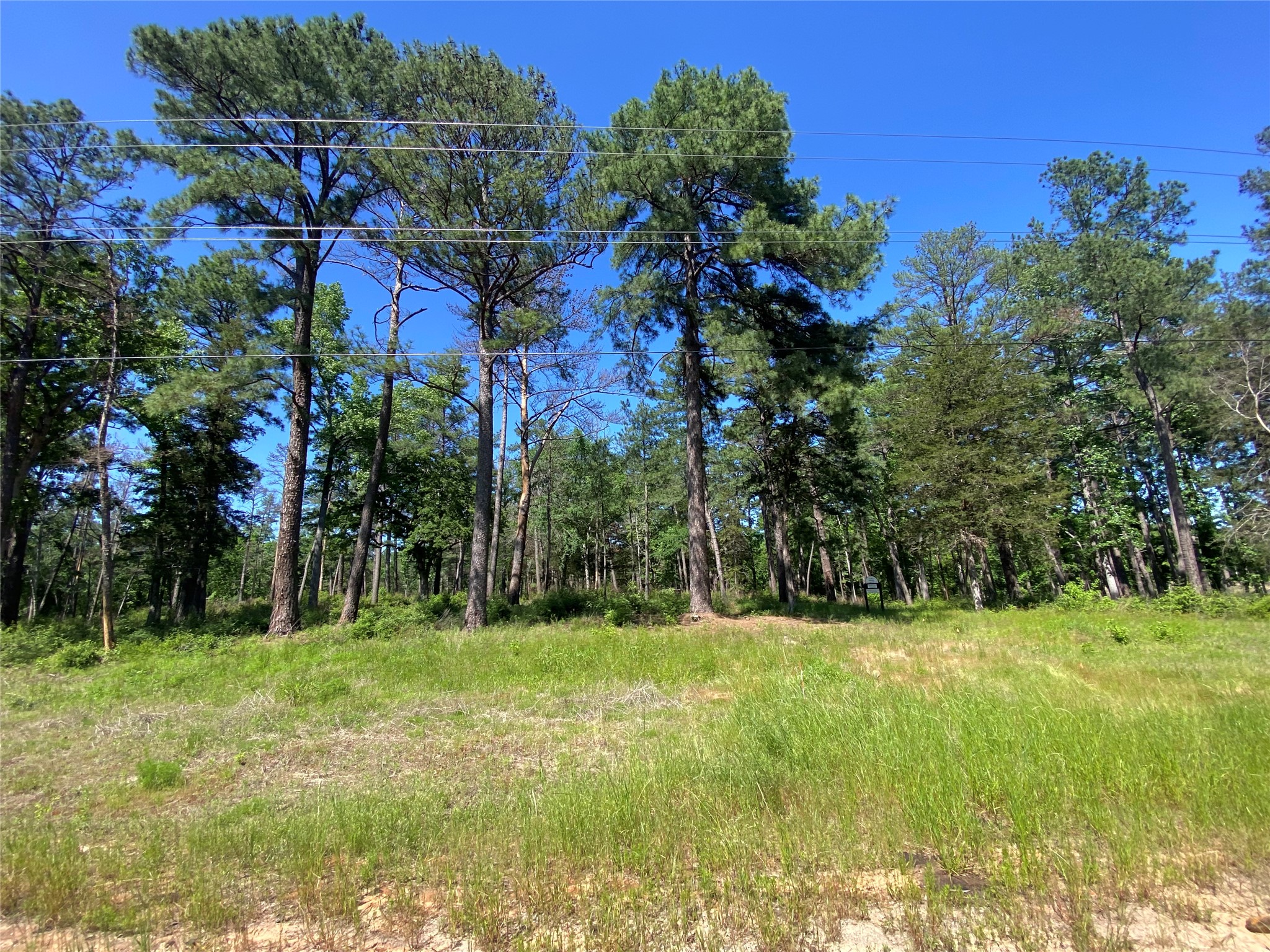 Lot 22 Pr 1313 Property Photo 21