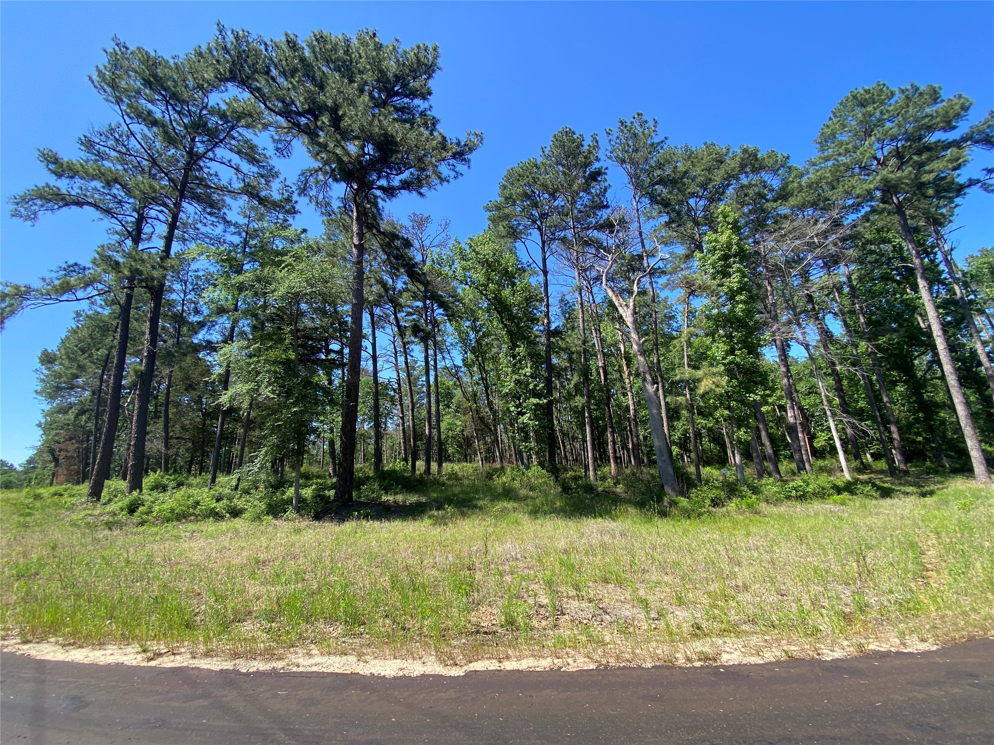 Lot 22 Pr 1313 Property Photo 23