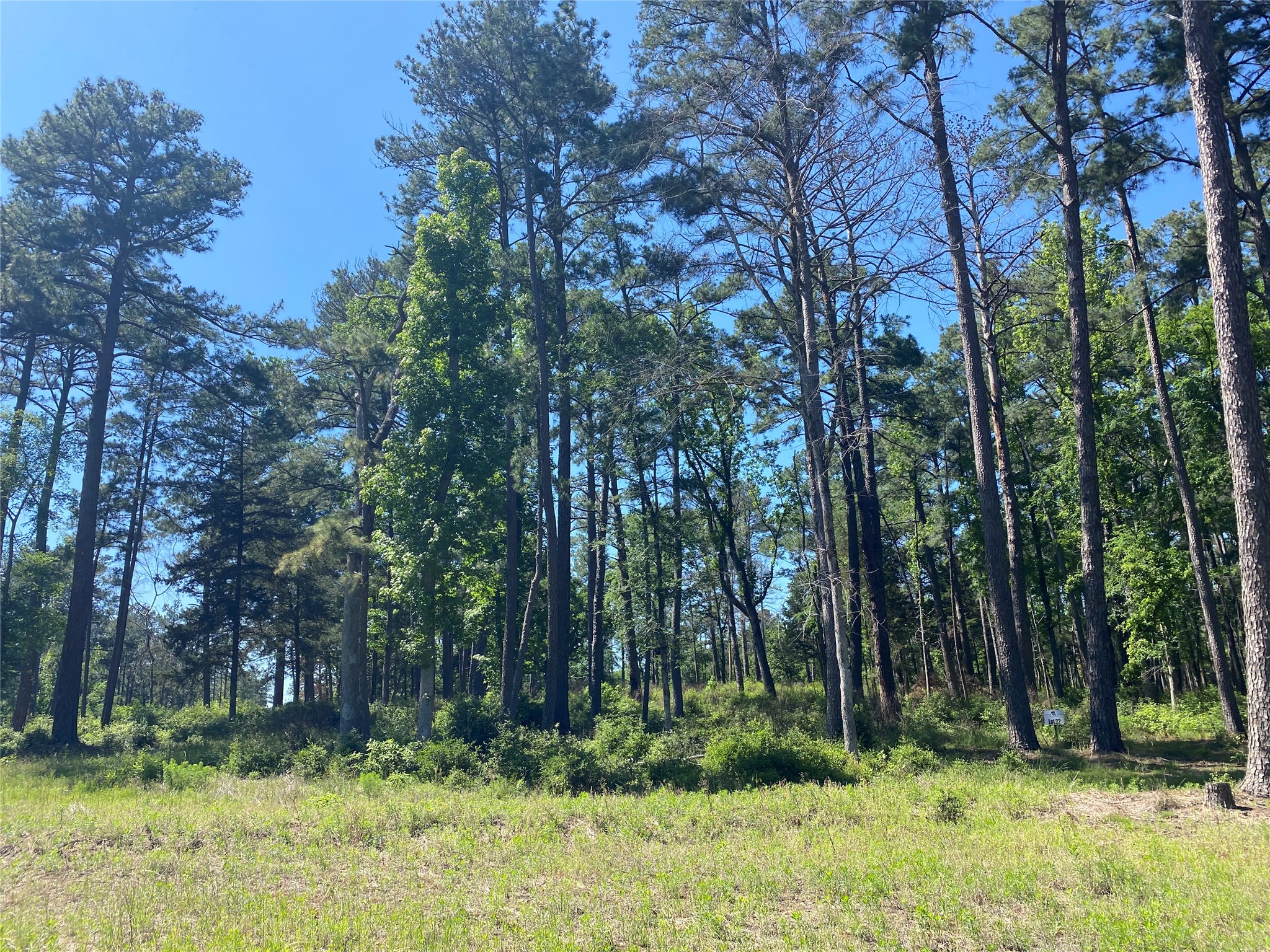 Lot 22 Pr 1313 Property Photo 24