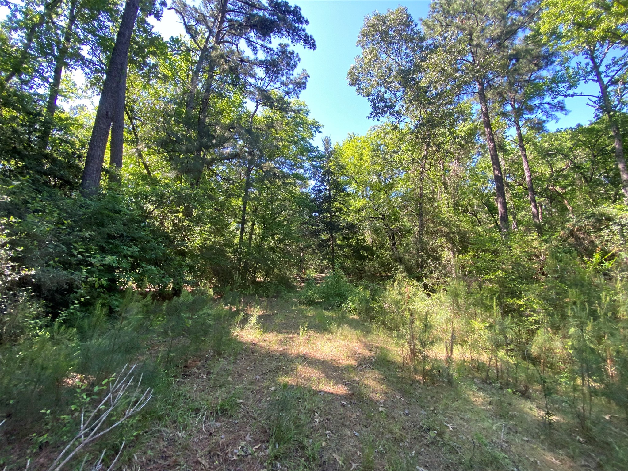 Lot 22 Pr 1313 Property Photo 25