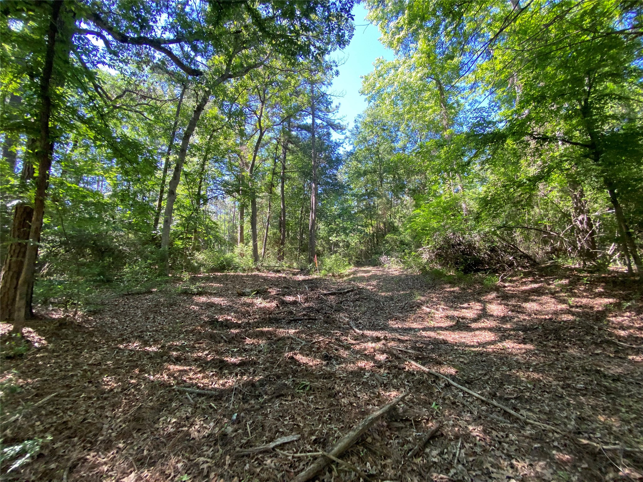 Lot 22 Pr 1313 Property Photo 26
