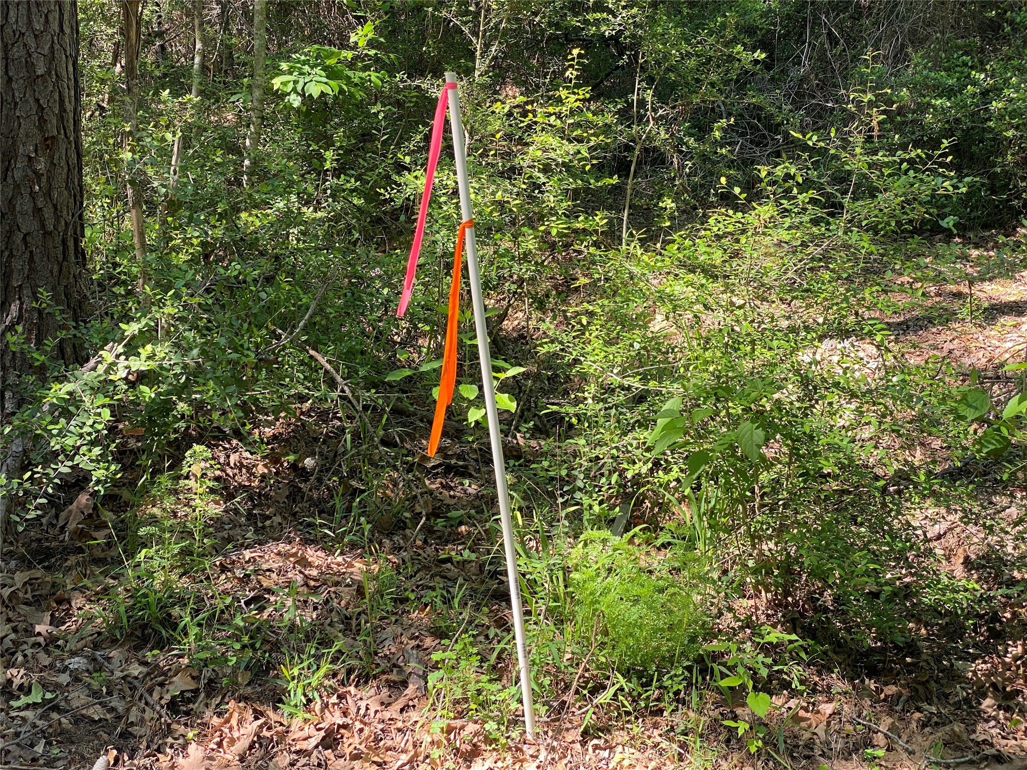 Lot 22 Pr 1313 Property Photo 27