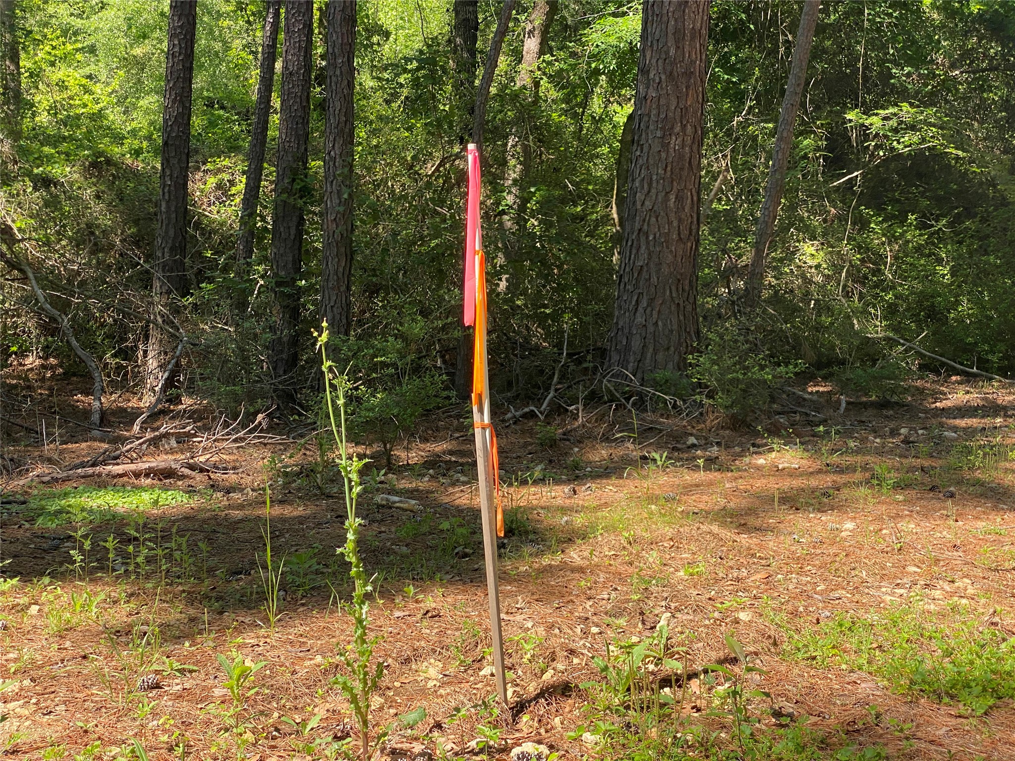 Lot 22 Pr 1313 Property Photo 29