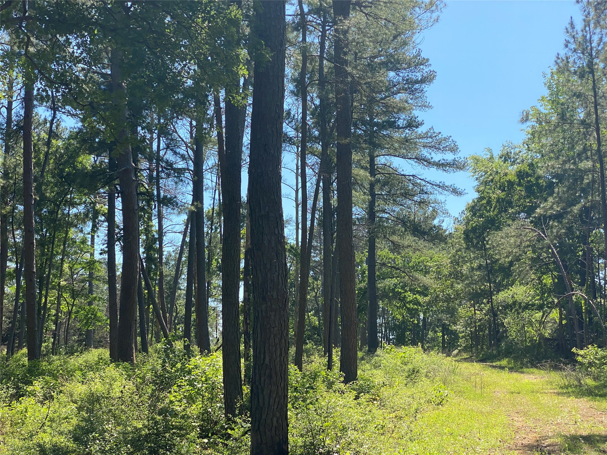 Lot 22 Pr 1313 Property Photo 30